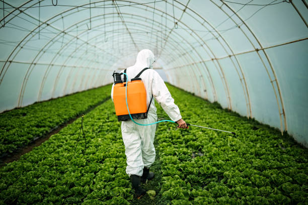 Best Residential Pest Control  in Ampere North, NJ