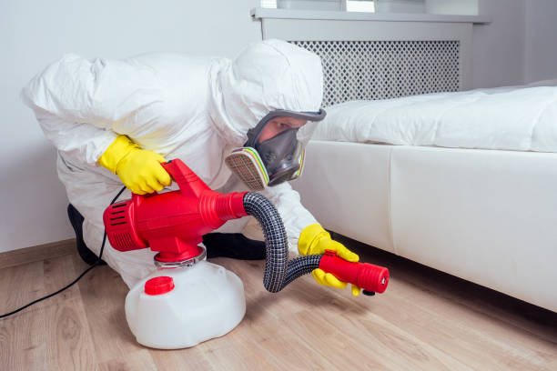 Best Pest Inspection Near Me  in Ampere North, NJ