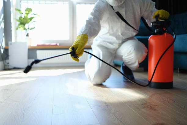 Best Best Pest Control Companies  in Ampere North, NJ