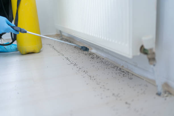 Best Pest Prevention Services  in Ampere North, NJ