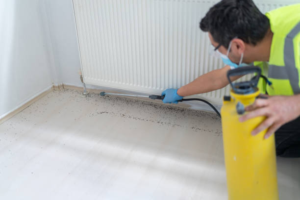 Professional Pest Control in Ampere North, NJ