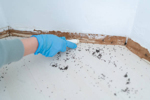 Best Wildlife Control Services  in Ampere North, NJ