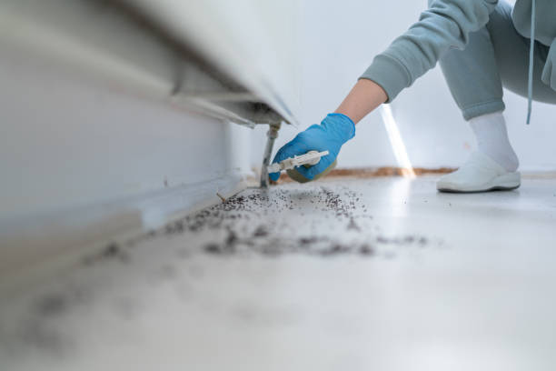 Best Pest Control Cost  in Ampere North, NJ