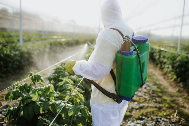 Pest Control Cost in Ampere North, NJ